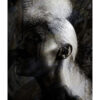 Metamorphosis 4 Fine Art Print Berry Behrendt Fotografie Fashion Muma Galerie Hamburg