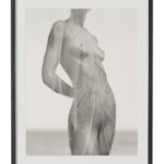 Art Photography Stefan Milev Fine Art Print “Bird Feathers” Mama Gallery Limited Edition