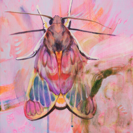 Daniel Freaker / "Drawn to Passage"